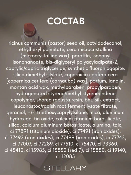 Stellary Помада для губ Устойчивая RICH NUDE тон 17 supernatural  фото 7