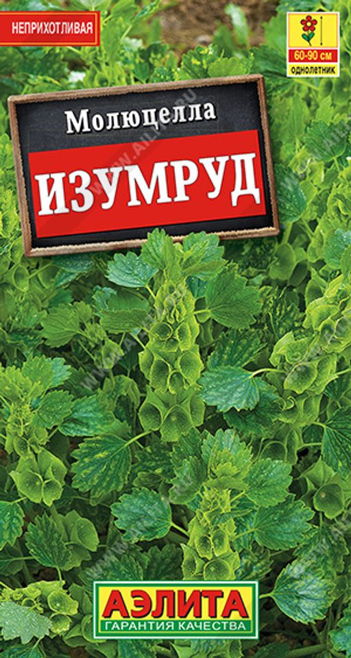 Молюцелла Изумруд (2025)