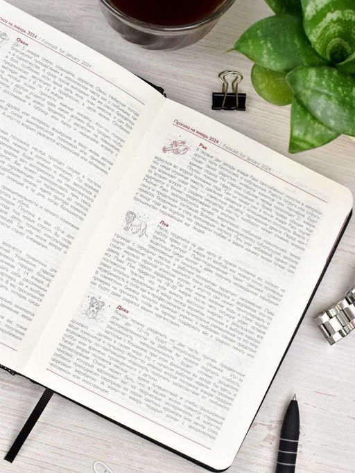 Ежедневник датированный 2024 ESCALADA, АСТРОЛОГИЧЕСКИЙ, А6+, 200 л., арт. 64243/ 20 ПЛОНЖЕ ЭКСТРА МЕТТАЛИК ЧЁРНЫЙ  фото 19