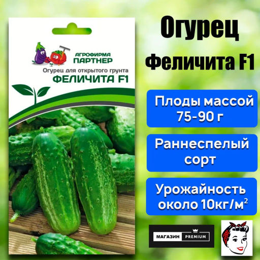 Огурец пчелоопыляемый Феличита - Партнер фото 2