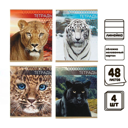 Комплект тетрадей из 4 штук, 48 листов в линейку «Дикие кошки», серые листы
