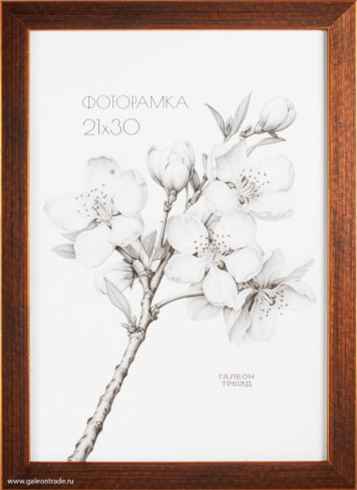 Фоторамка 21x30 / KS1912-1 /уп 10/