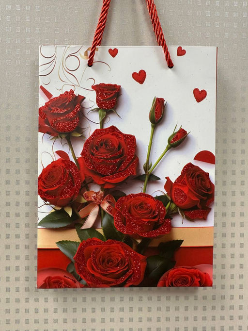 Подарочные пакеты (в ассортименте) (18*24*8,5см) (3667)