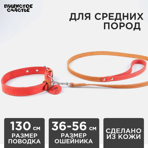 Комплект : ошейник (36-56х2.5 см) и поводок (130х1.5 см), цвет малиновый и бежевый