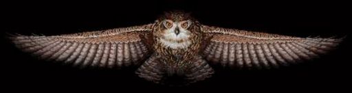 Набор для вышивания Сделай своими руками С-44 Сова(хлопок) 85 х 18 см