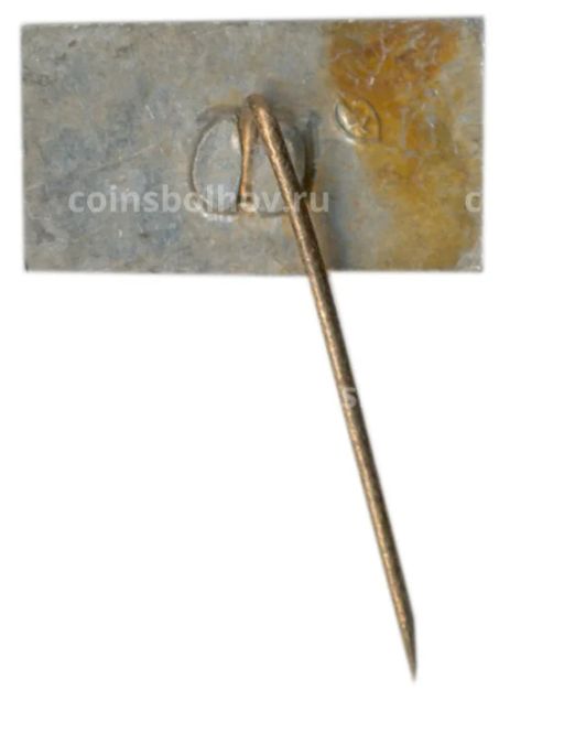 Значок Жувинтас