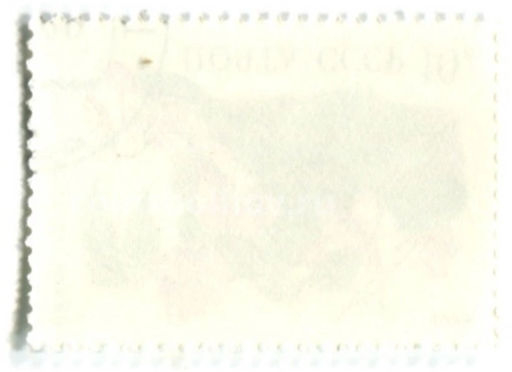 Марка Сочевичник весенний 1988 год