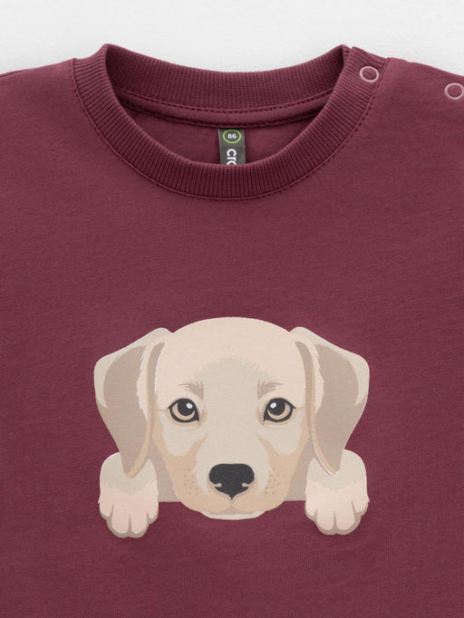 КР 302907/коричневый 1614 к630 фуфайка (футболка) д/мал яс