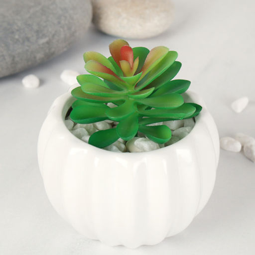 Суккулент искусственный 6,5х9 см / GN107 /уп 100/ - ГалеонТрейд фото 3