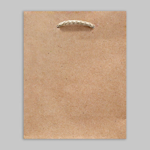 Цена за 2 шт. Пакет подарочный ламинированный, упаковка, «Крафт», S 12 х 15 х 5.5 см