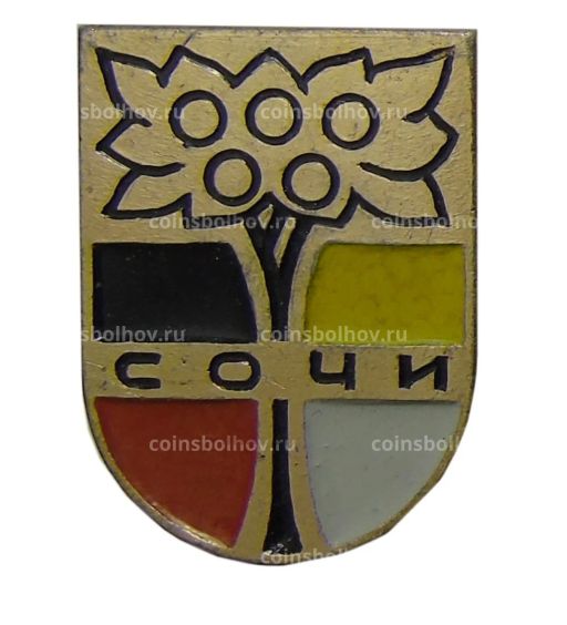 Значок Сочи
