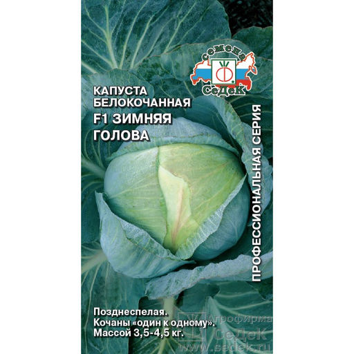 Капуста б/к Зимняя Голова F1 0,1г (СеДеК)