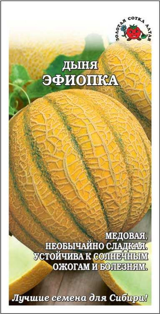 Дыня Эфиопка 0,5г (Золотая сотка Алтая)