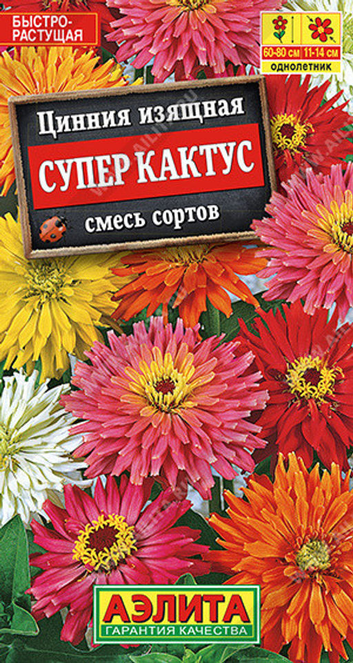 1923A Цинния Супер кактус, смесь сортов 0,3гр