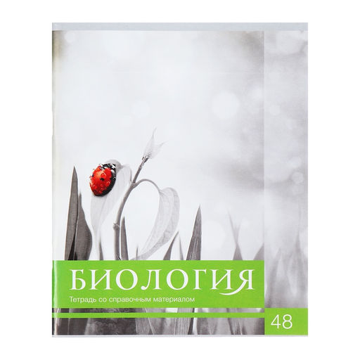 Тетради предметные 48 листов, Calligrata «Чёрное-белое», 10 предметов, серые листы