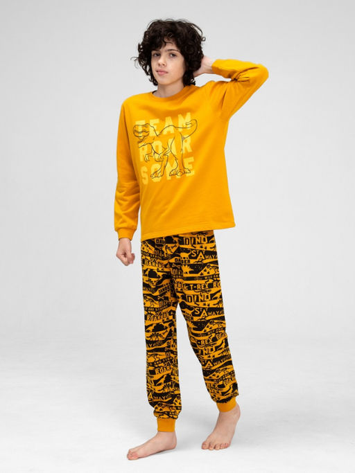 CRB wear/CWJB 50144-33 Комплект для мальчика (джемпер, брюки),горчичный/Ex.Cherubino