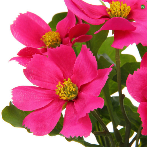 Цветочная композиция "Поцелуй лета" Космея ярко-розовая 20см