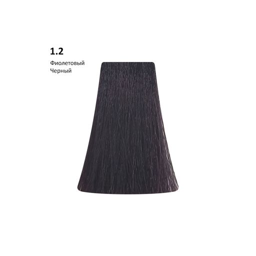 1.2 Violet фиолетовый черный, 100 мл