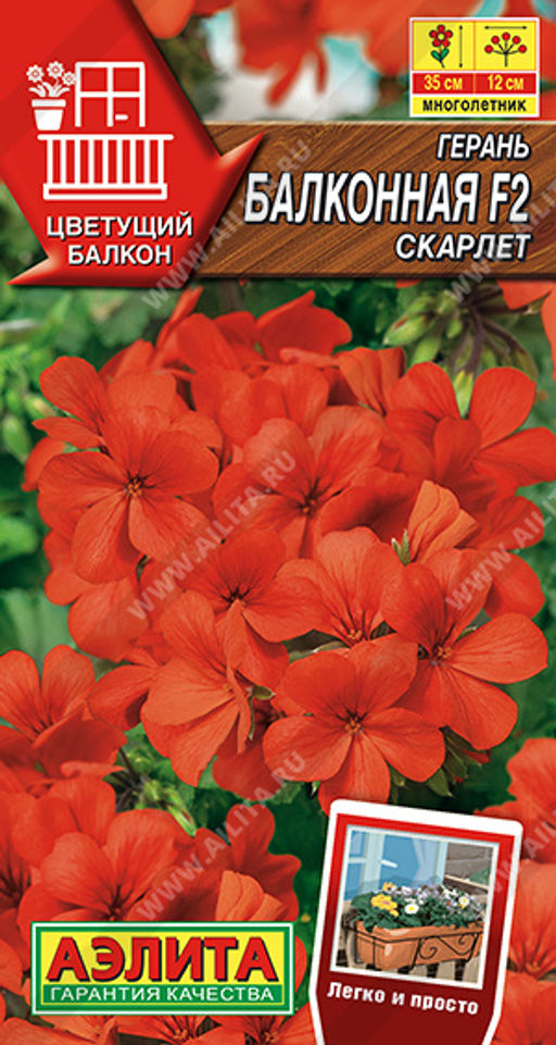 Герань Балконная скарлет F2