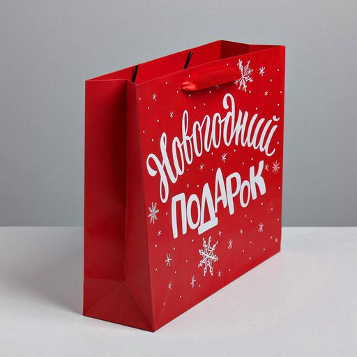 Цена за 2 шт. Пакет подарочный «Новогодний подарок», ML 23×27×11.5 см