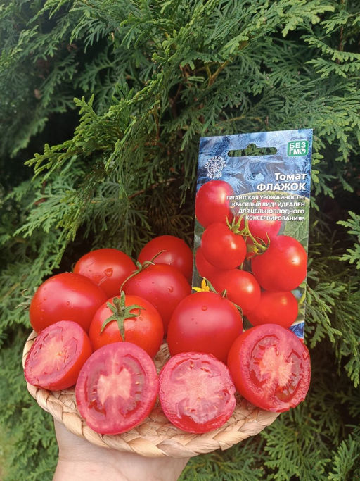 Томат ФЛАЖОК Гигантская урожайность! Завораживающий вид куста! Идеален для консервирования! - Уральский дачник фото 3