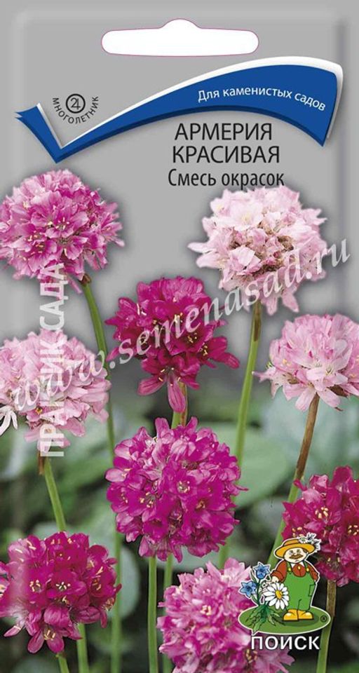 Армерия красивая Смесь окрасок (ЦВ) ("М) 0,05гр.