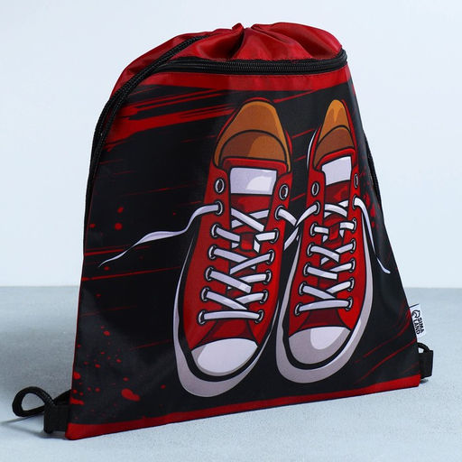 Сумка для обуви Кеды, 2 секции, 41х31 см - Artfox study фото 2