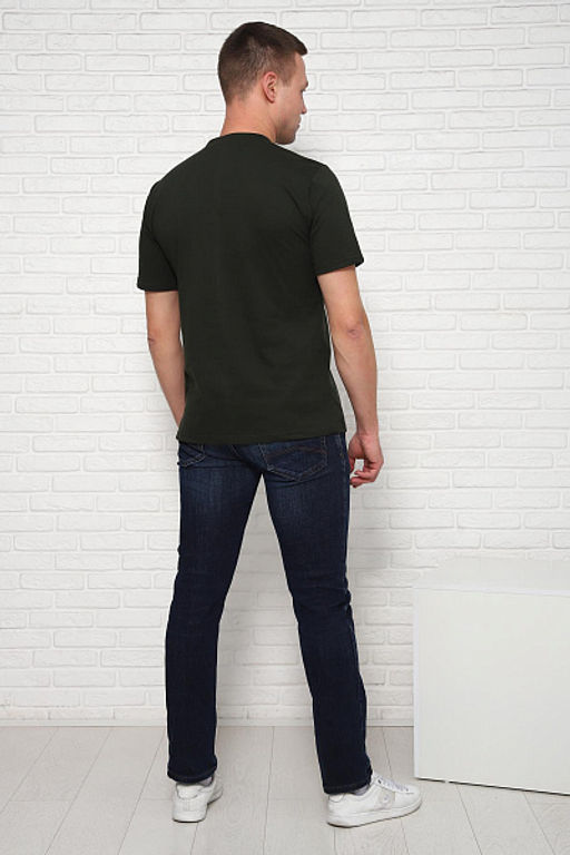 Футболка мужская (01036) - Плиона фото 42