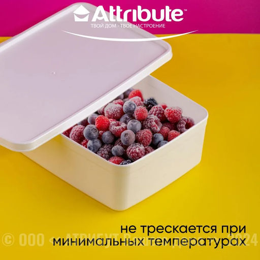 Контейнер для заморозки ALASKA 2.1л белый