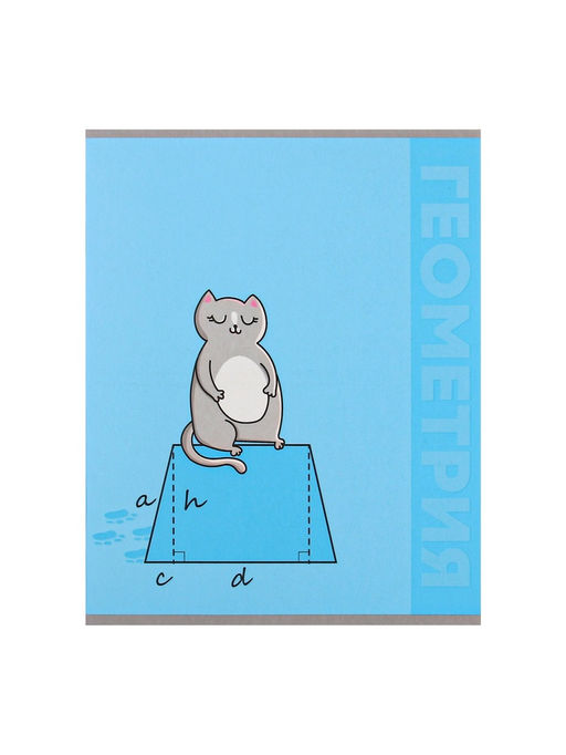 Набор предметных тетрадей Calligrata TOP «Животные», 12 предметов, 48 листов, со справочным материалом, обложка из мелованного картона