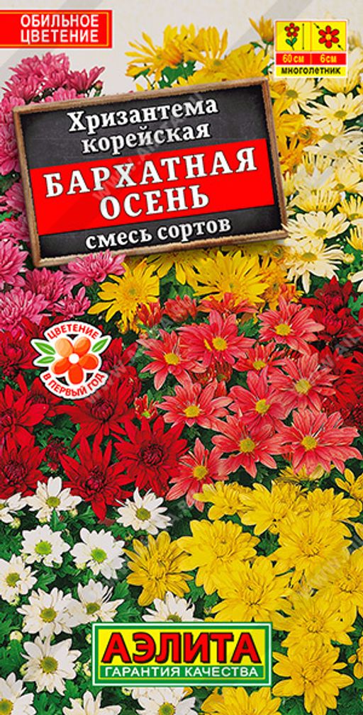 Хризантема корейская Бархатная осень,смесь сортов (2025)