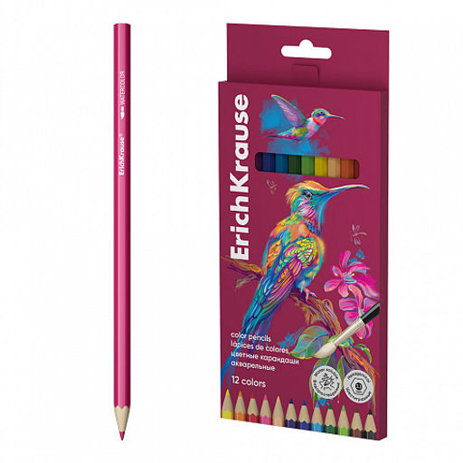 АКЦИЯ Цена за 12 шт. Акварельные карандаши деревянные ErichKrause Safari шестигранные, грифель 3,3 мм, 12 цветов с кисточкой (в коробке с европодвесом 12 шт)