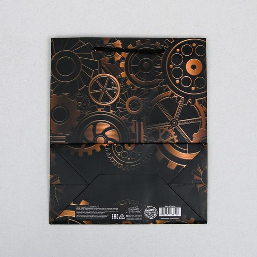 Цена за 2 шт. Пакет подарочный ламинированный, упаковка, Steel, ML 23 х 27 х 11.5 см