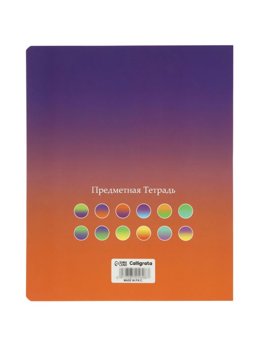 Комплект 12 предметных тетрадей «Градиент», 48 листов, справочная информация, 60 г