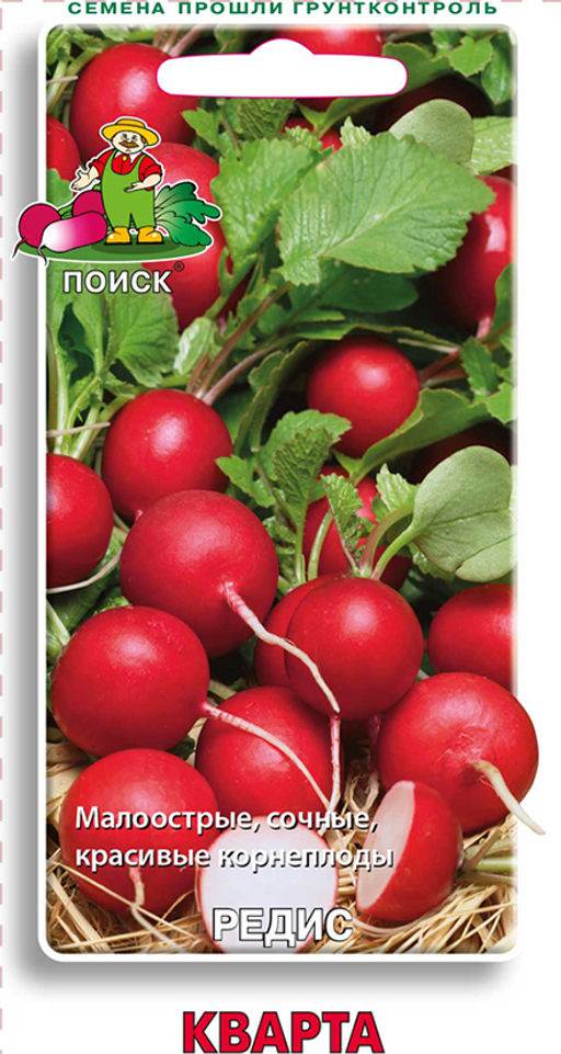 Редис Кварта (ЦВ) 3гр.