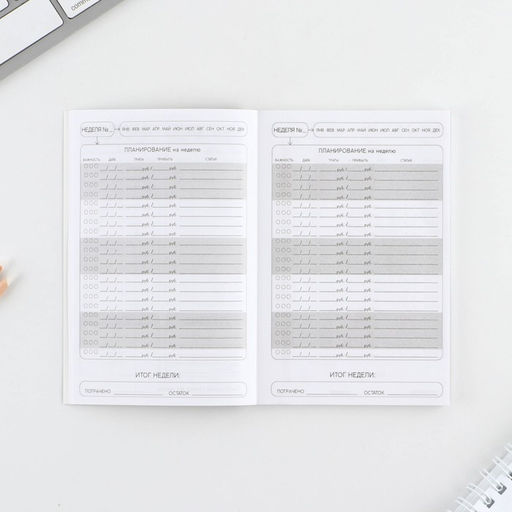 Цена за 2 шт. Блокнот для планирования финансов А6, 52 листа «Кот»