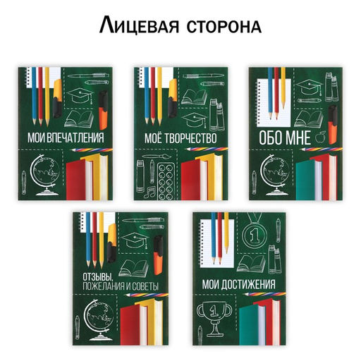 Папка школьная с креплением «Портфолио школьника», 10 листов-разделителей, 21.5×30 см
