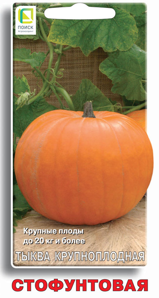 Тыква крупноплодная Стофунтовая (ЦВ) 10шт. - Поиск фото 2