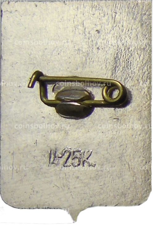 Значок Боровичи