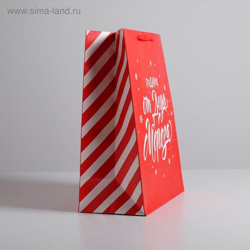 Пакет подарочный новогодний ламинированный Подарок от Деда Мороза, XL 40?49?19 см