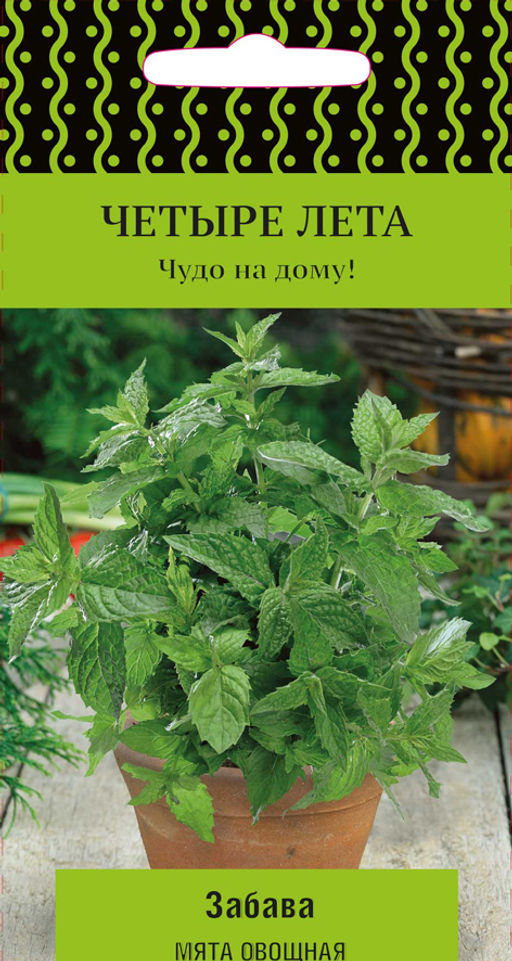 Мята овощная Забава 20шт. (Поиск)