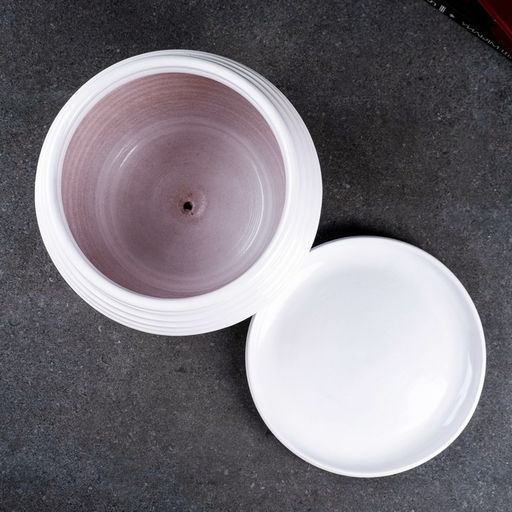 Горшок для цветов «Сатурн», керамический, с поддоном, 4 л, белый