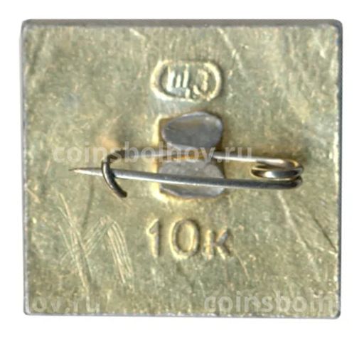 Значок Псков