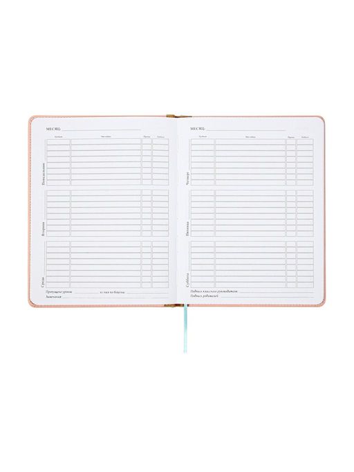 Дневник школьный 1-11 класс, лассе, обложка искуственная кожа бежевая, резинка для ручки