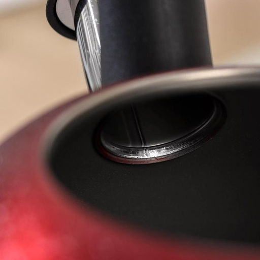 Чайник со свистком «Бархат», 3 л, цвет красный