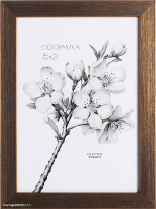 Цена за 1 шт. Фоторамка 15x21 / KS1912-1 /уп10