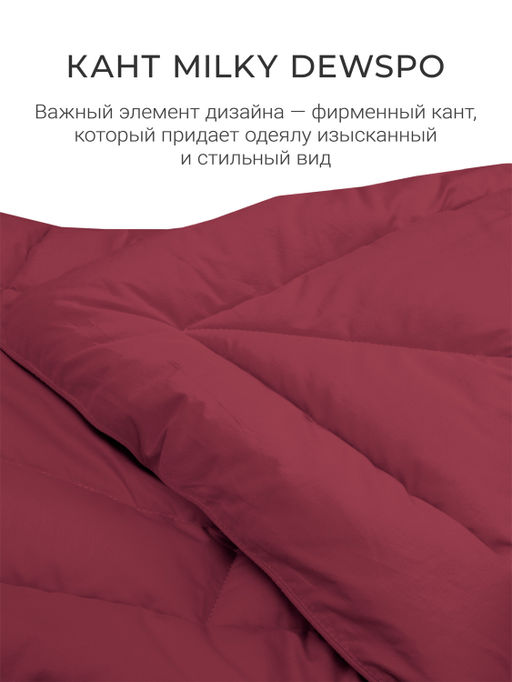 Одеяло "Cloud Cool Wine" 175х200см всесезонное 200г/м2 ЕС-7067