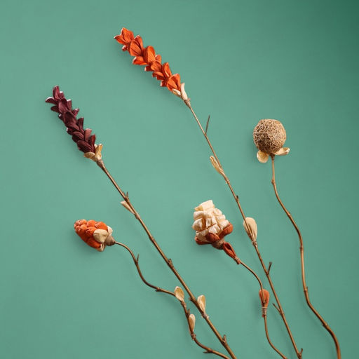 Сухоцвет на бамбуковом стебле, 150 см, белый