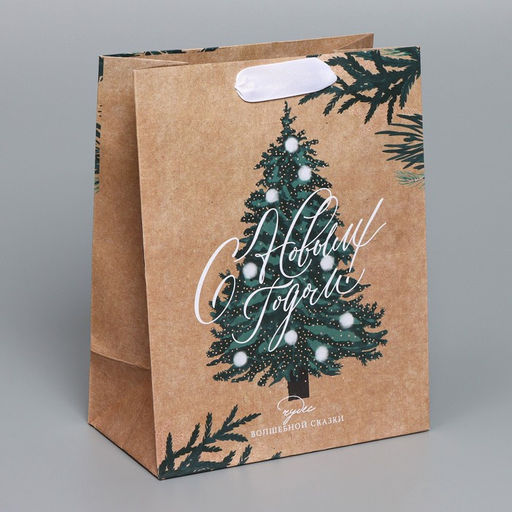Цена за 3 шт. Пакет подарочный новогодний крафтовый «Winter», MS 18×23×10 см