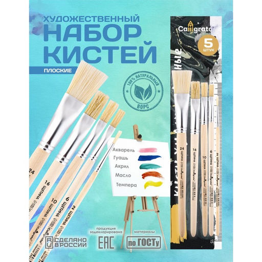 Цена за 2 шт. Набор кистей для рисования, щетина, 5 штук: №: 2, 6, 10, 16, 24, Calligrata, плоские, деревянная ручка, в пакете